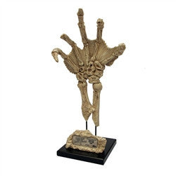 Fossilized Creature Hand Limited Edition Prop Replica